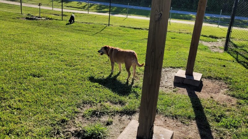 Dog Park - Eldon, MO