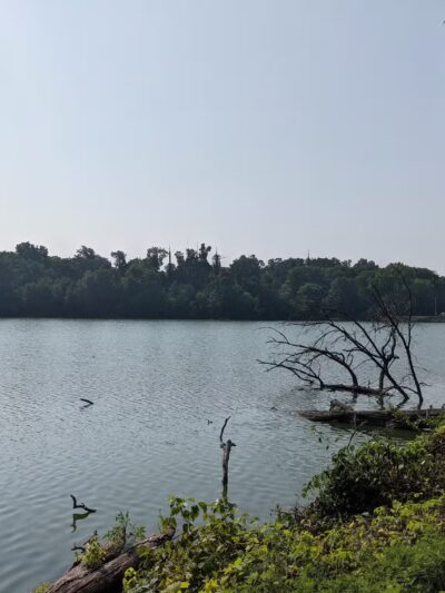 Gunderson Nature Park - Eldora, IA