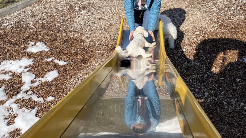 Aragons Park - Elgin, IL