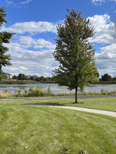 Boathouse Park - Elgin, IL