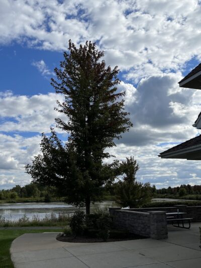 Boathouse Park - Elgin, IL