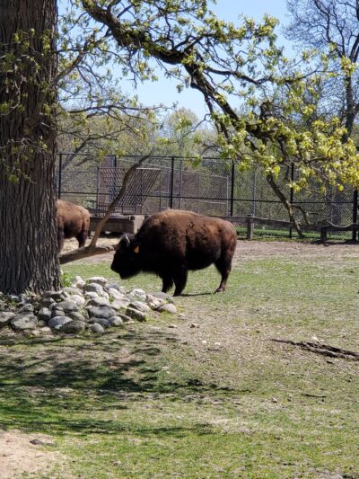 Lords Park - Elgin, IL