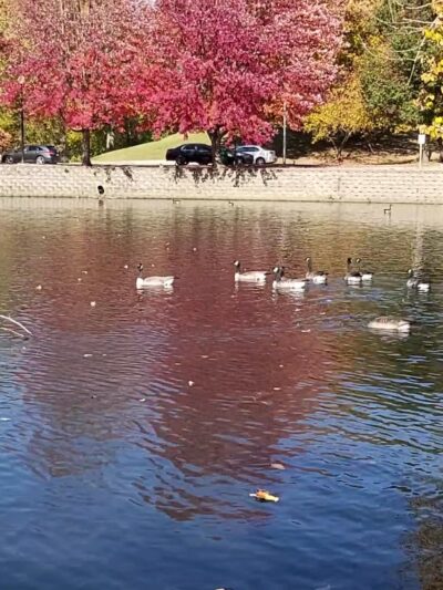 Lords Park - Elgin, IL