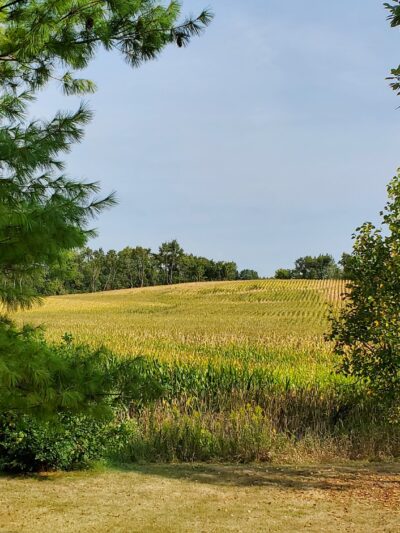 Randall Ridge Park - Elgin, IL