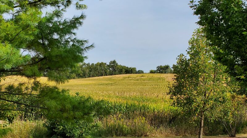 Randall Ridge Park - Elgin, IL