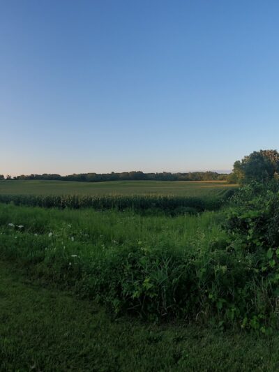 Randall Ridge Park - Elgin, IL
