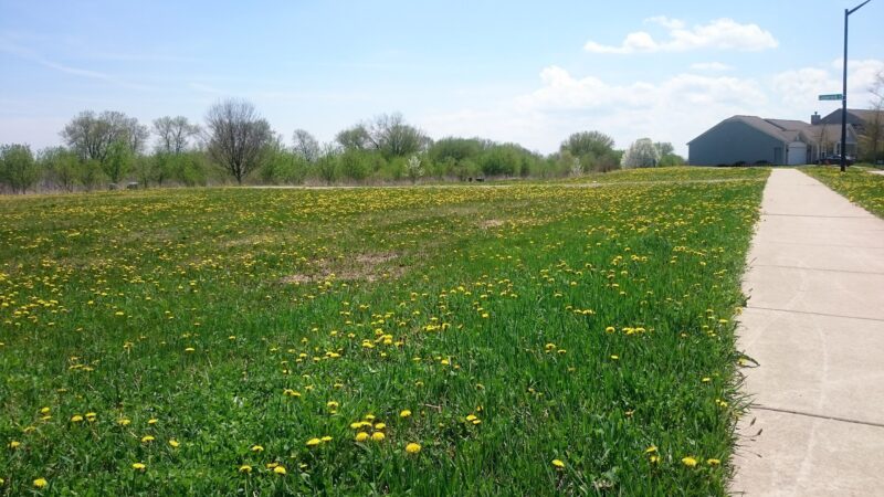 Shamrock Park - Elgin, IL