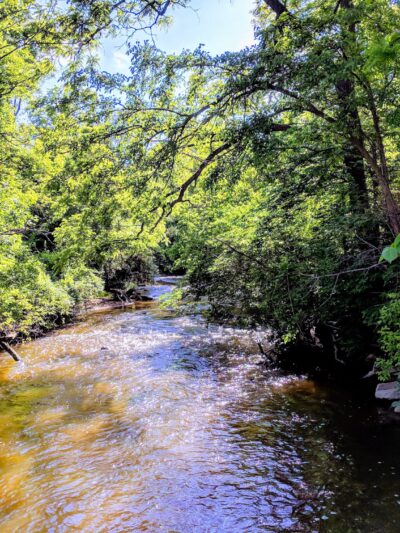 Tyler Creek Forest Preserve - Elgin, IL
