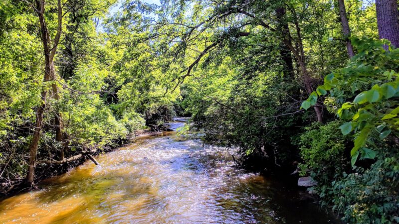 Tyler Creek Forest Preserve - Elgin, IL