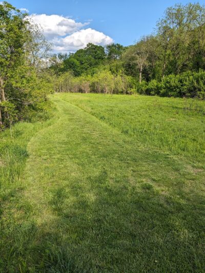 Tyler Creek Forest Preserve - Elgin, IL