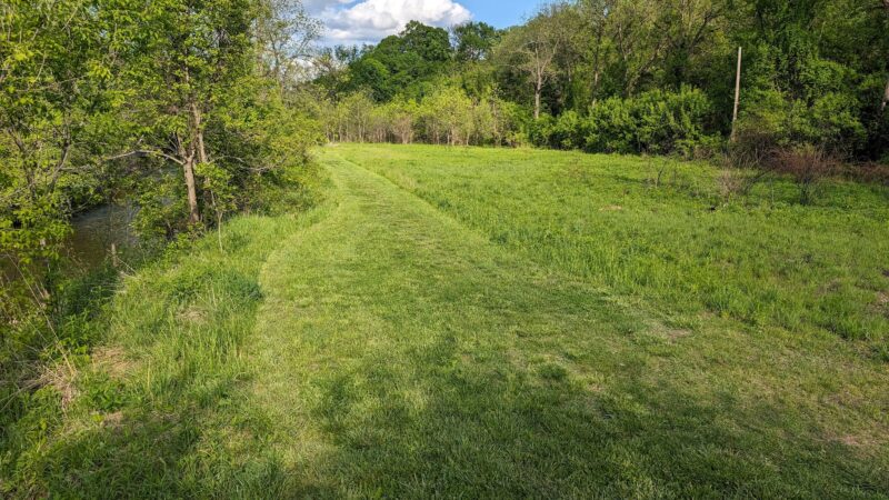 Tyler Creek Forest Preserve - Elgin, IL