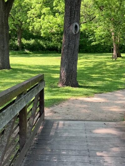 Tyler Creek Forest Preserve - Elgin, IL