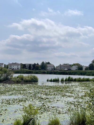 Willow Bay Park - Elgin, IL