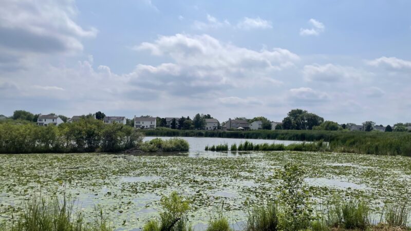 Willow Bay Park - Elgin, IL