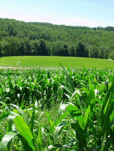 Round Hill Park - Elizabeth, PA