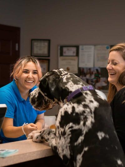Playful Pups Retreat - Elizabethtown, PA