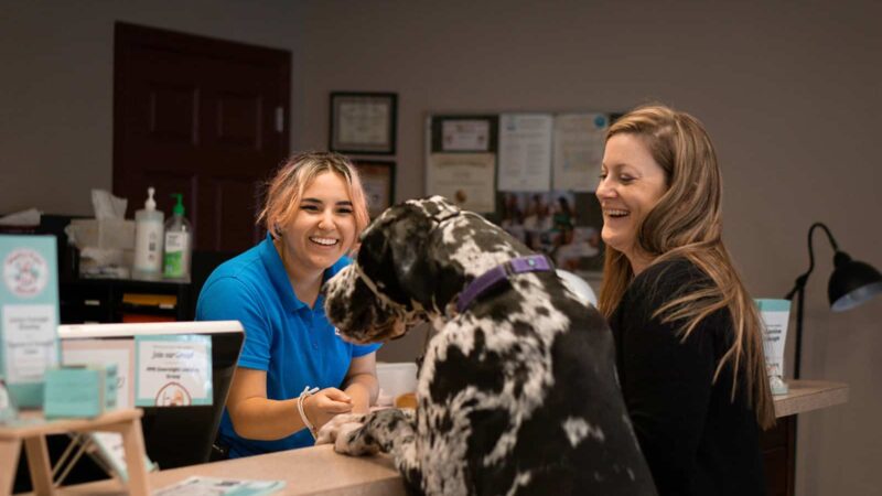 Playful Pups Retreat - Elizabethtown, PA