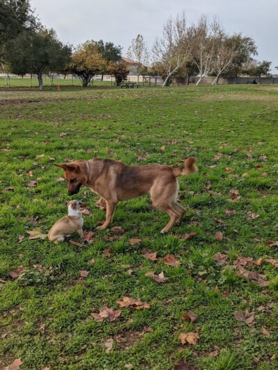 Jacinto Creek Park - Elk Grove, CA