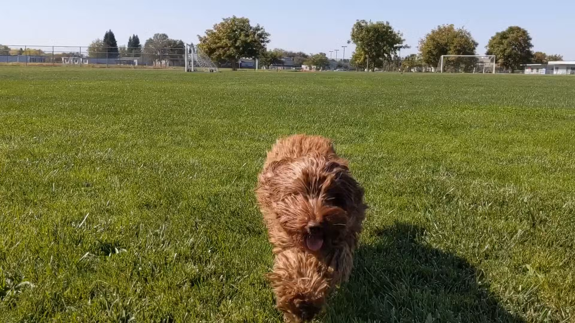 Jacinto Creek Park - Elk Grove, CA