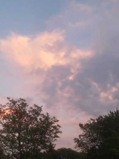 Carson Park - Elk Grove Village, IL