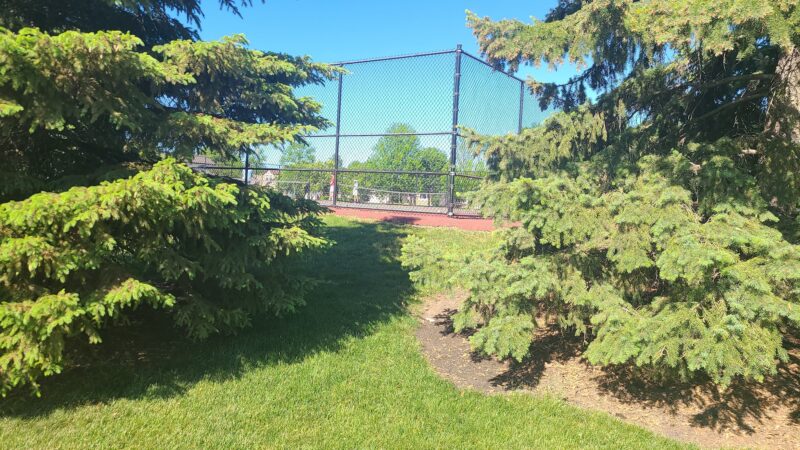 Johnson Park - Elk Grove Village, IL