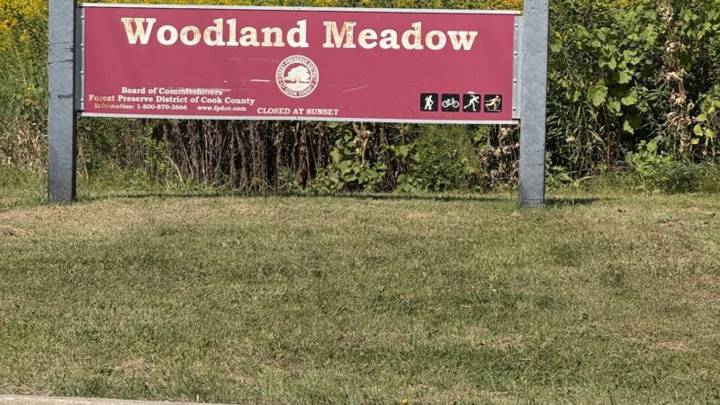 Woodland Meadows Park - Elk Grove Village, IL