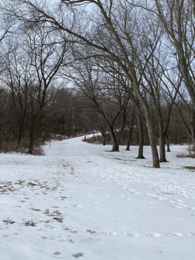 Elk Horn Creek Recreation Area - Elk Horn, IA