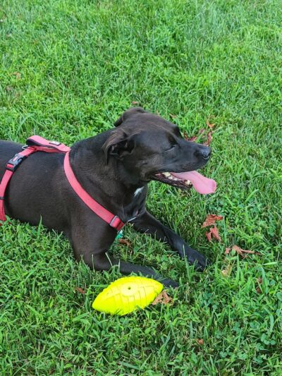 Elk Mills Park - Elk Mills, MD