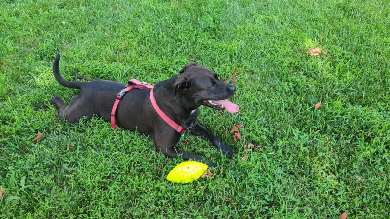 Elk Mills Park - Elk Mills, MD