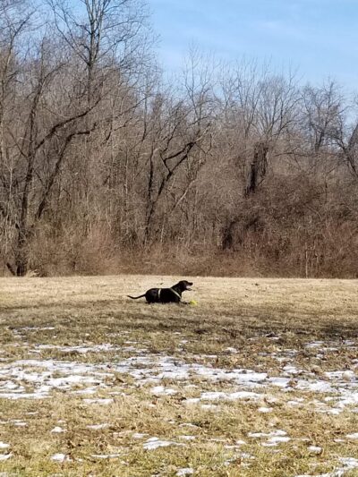 Elk Mills Park - Elk Mills, MD