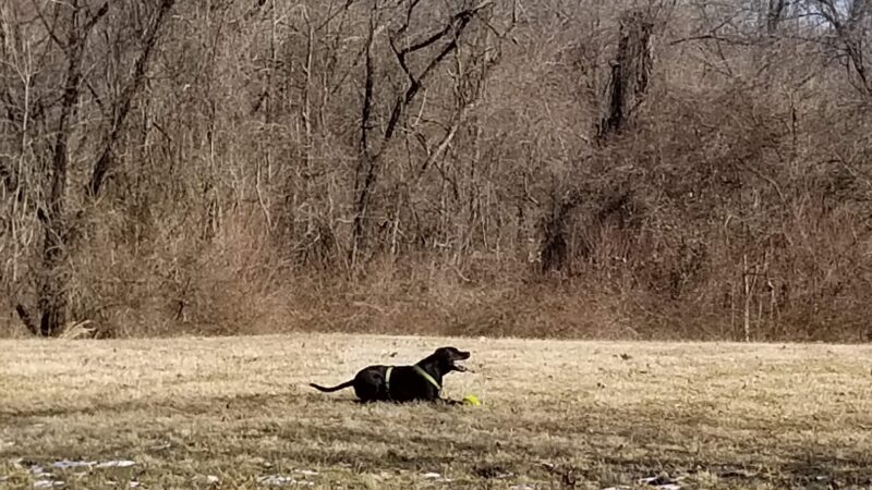 Elk Mills Park - Elk Mills, MD