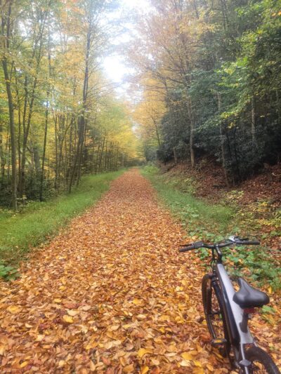 Allegheny Highlands Trail of WV Trailhead - Elkins, WV