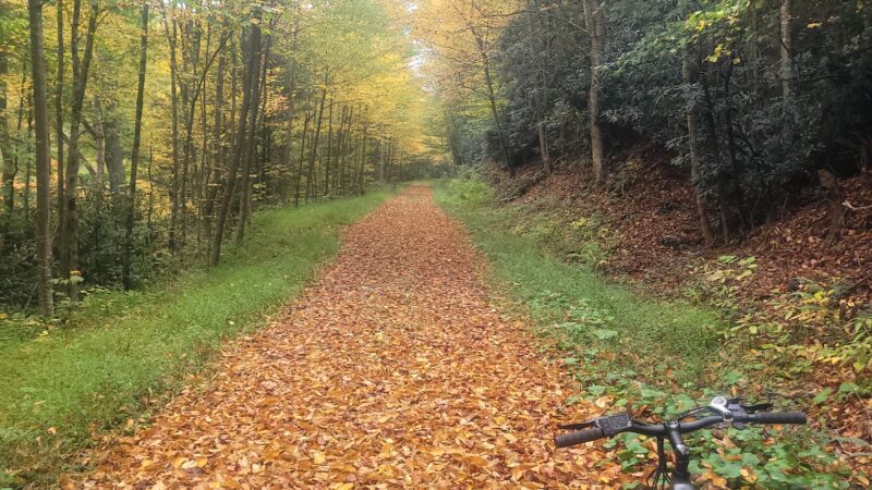 Allegheny Highlands Trail of WV Trailhead - Elkins, WV