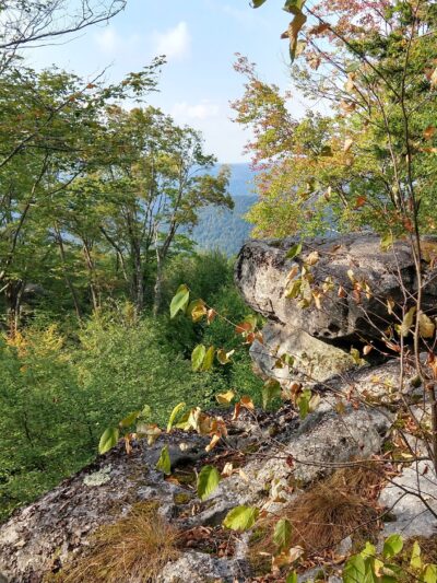Bear Heaven Recreation Area - Elkins, WV