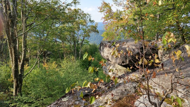 Bear Heaven Recreation Area - Elkins, WV