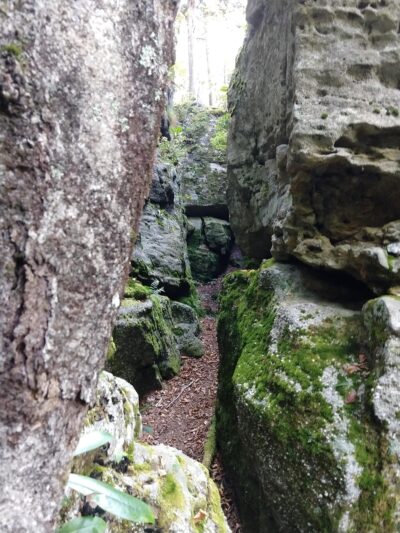 Bear Heaven Recreation Area - Elkins, WV