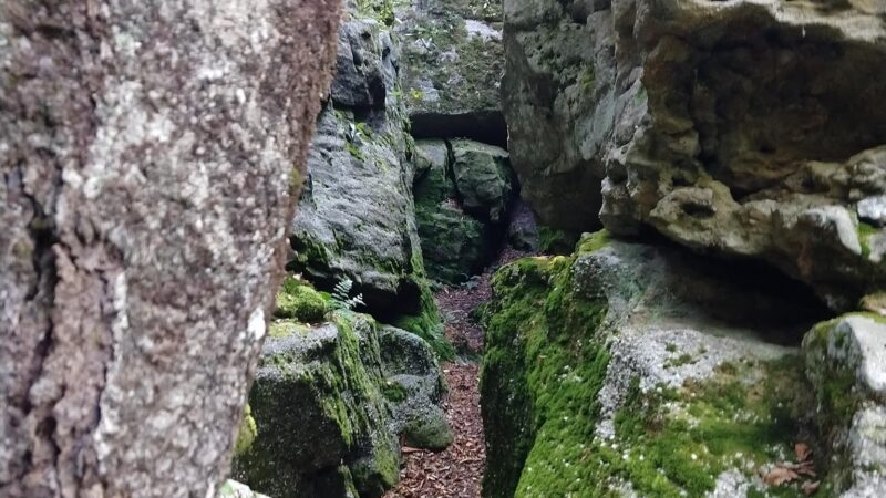 Bear Heaven Recreation Area - Elkins, WV