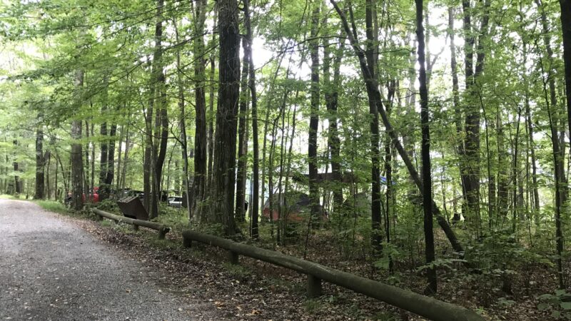 Bear Heaven Recreation Area - Elkins, WV