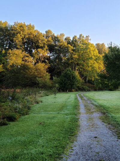 Glendale Park - Elkins, WV