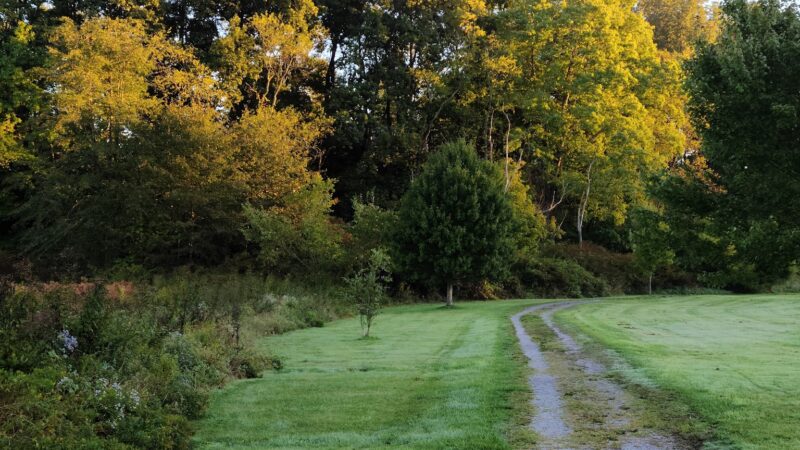 Glendale Park - Elkins, WV