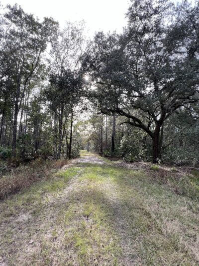 Deep Creek Conservation Area - North Tract Entrance - Elkton, FL