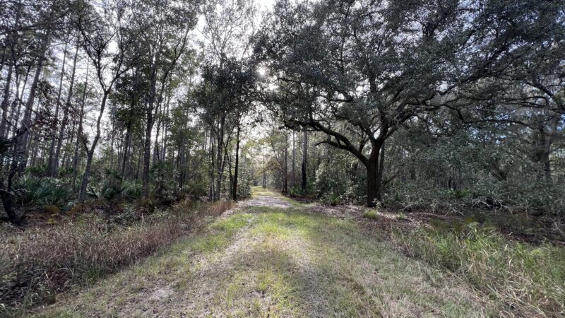 Deep Creek Conservation Area - North Tract Entrance - Elkton, FL