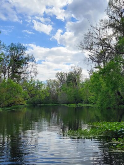 Deep Creek Conservation Area - North Tract Entrance - Elkton, FL