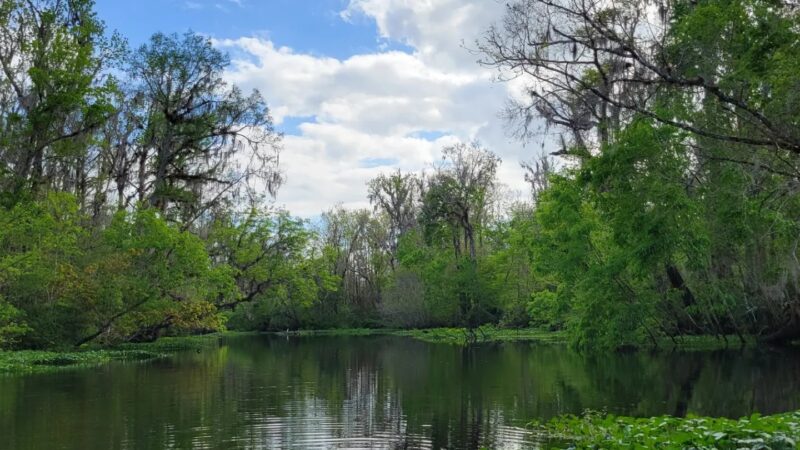 Deep Creek Conservation Area - North Tract Entrance - Elkton, FL