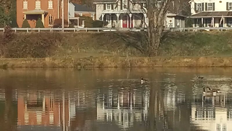 Cow Pond Recreation Area - Elkton, MD