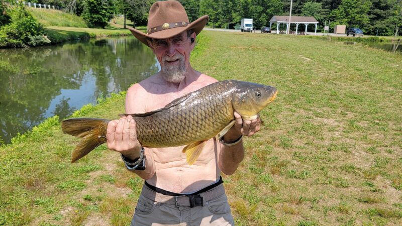 Cow Pond Recreation Area - Elkton, MD