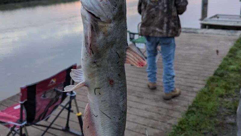 Elk River Park - Elkton, MD