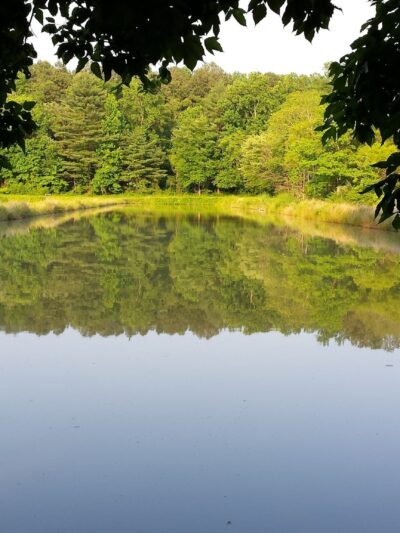 Evans McKinney Park - Elkton, MD