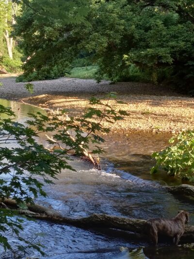 Evans McKinney Park - Elkton, MD