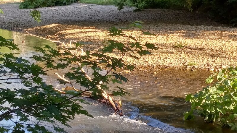 Evans McKinney Park - Elkton, MD